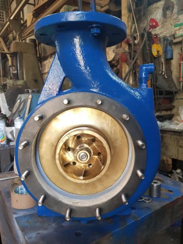 small centrifugal pump repair