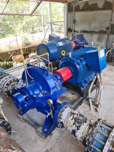 omega type pump on duty