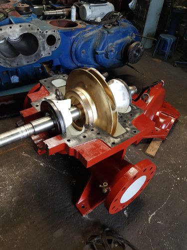 omega type pump overhaul