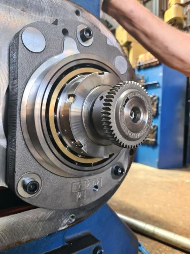Shaft restraint system with bearings
